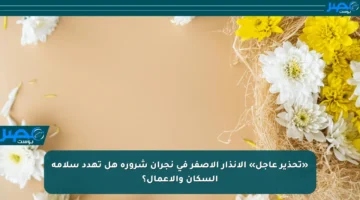 «تحذير عاجل» الإنذار الأصفر في نجران شرورة هل تهدد سلامة السكان والأعمال؟